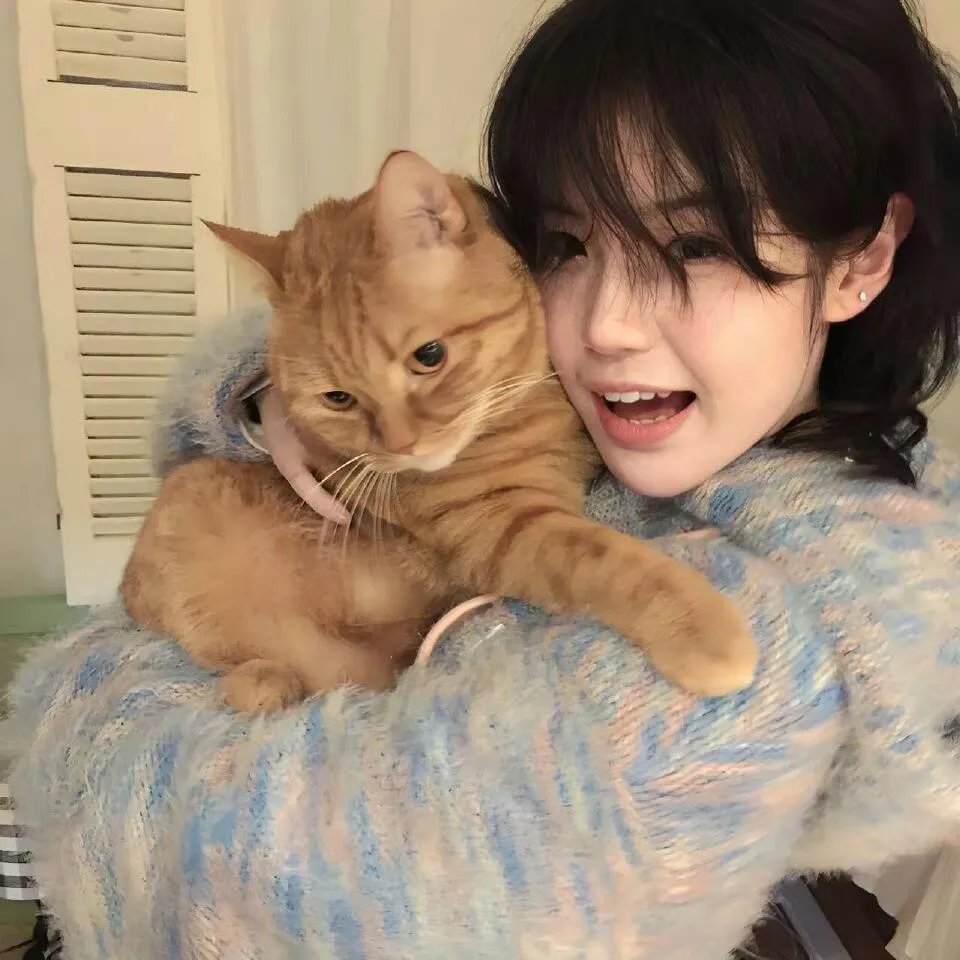 七彩狗